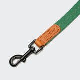 Dog Leash Madeira Amber