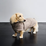 Dachshund Coat Brooklyn Tweed Beige
