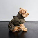 Dog Coat Everest Light Olive