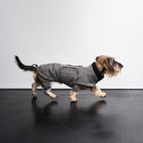 Dachshund Coat Brooklyn Tweed Black