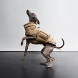 Dog Coat Alaska Sandy Brown