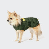 Dog Coat Alaska PRO Olive