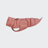 Dachshund Coat Alaska Faded Rose