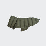 French Bulldog Coat Alaska Light Olive