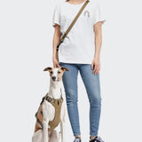 Y Safety Harness AKTIV Khaki/Grey