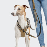 Y Safety Harness AKTIV Khaki/Grey