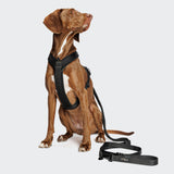 Y-1 Harness AKTIV Air-Mesh Black