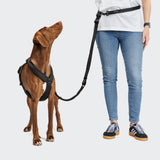 Y-1 Harness AKTIV Air-Mesh Black