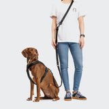 Y-1 Harness AKTIV Air-Mesh Black