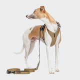 L-1 Hands-Free Leash AKTIV Khaki/Grey