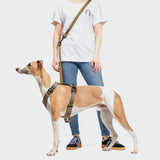 L-1 Hands-Free Leash AKTIV Khaki/Grey