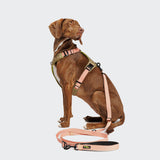 L-1 Hands-Free Leash AKTIV Peach