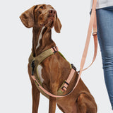 L-1 Hands-Free Leash AKTIV Peach