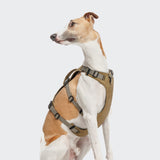 Y Safety Harness AKTIV Khaki/Grey