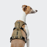 Y Safety Harness AKTIV Khaki/Grey