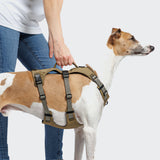 Y Safety Harness AKTIV Khaki/Grey