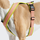Y-1 Harness AKTIV Air-Mesh Peach