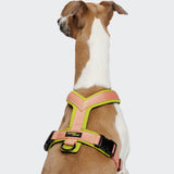 Y-1 Harness AKTIV Air-Mesh Peach
