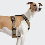 Y-2 Harness AKTIV Cordura Khaki