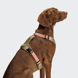 Y-2 Harness AKTIV Cordura Peach