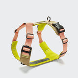 Y-2 Harness AKTIV Cordura Peach