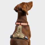 Y-2 Harness AKTIV Cordura Peach