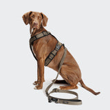 L-2 Jogging-Leash AKTIV Olive