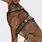 L-2 Jogging-Leash AKTIV Olive