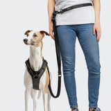 L-2 Jogging-Leash AKTIV Black