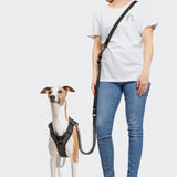 L-2 Jogging-Leash AKTIV Black