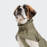 Dog Raincoat Helgoland Olive