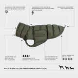 French Bulldog Coat Alaska Light Olive