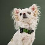 Hundehalsband Nylon RESC7UE Green