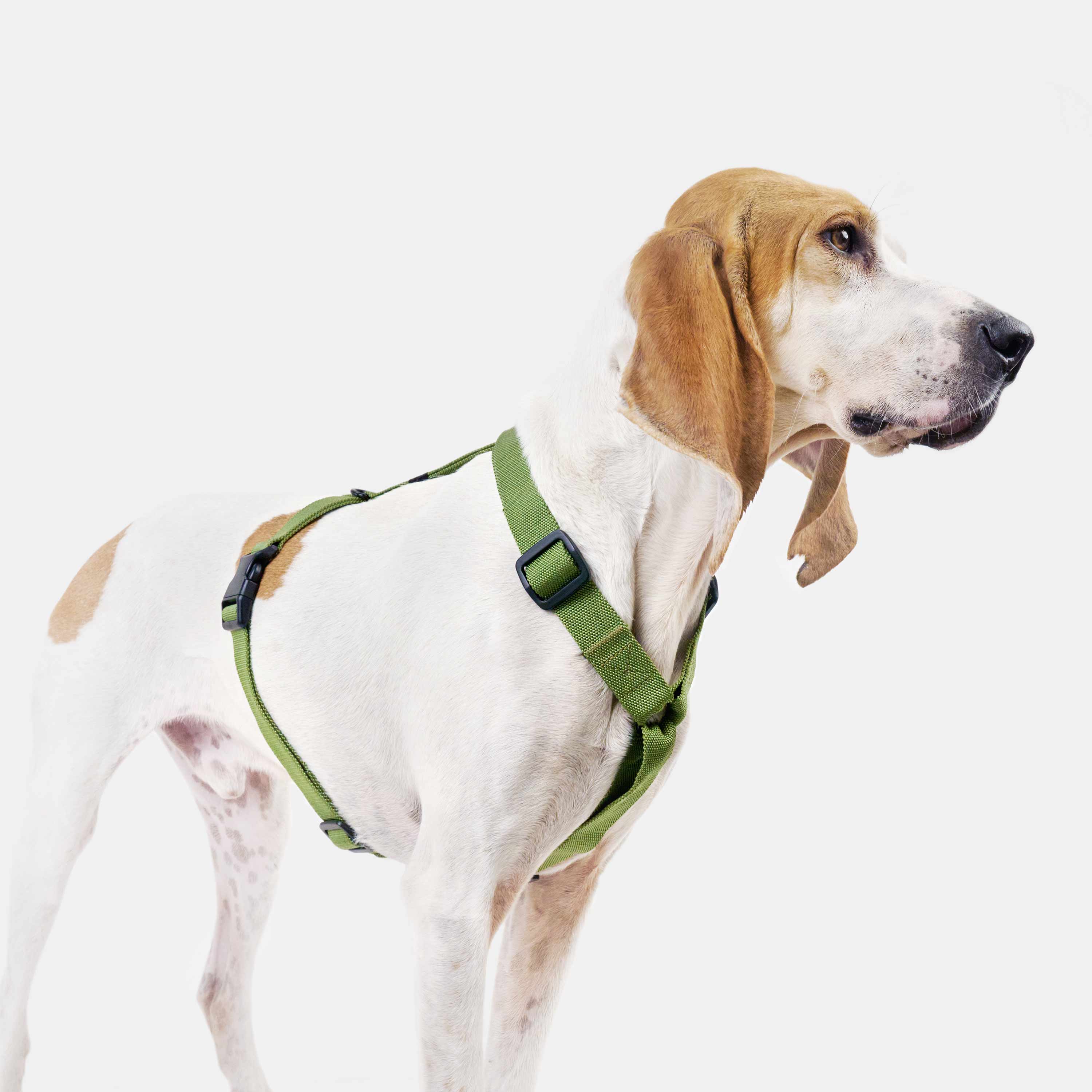 Y-Hundegeschirr Nylon RESC7UE Green