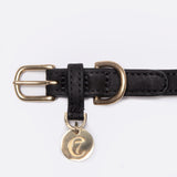details golden clasp black leather collar for dogs