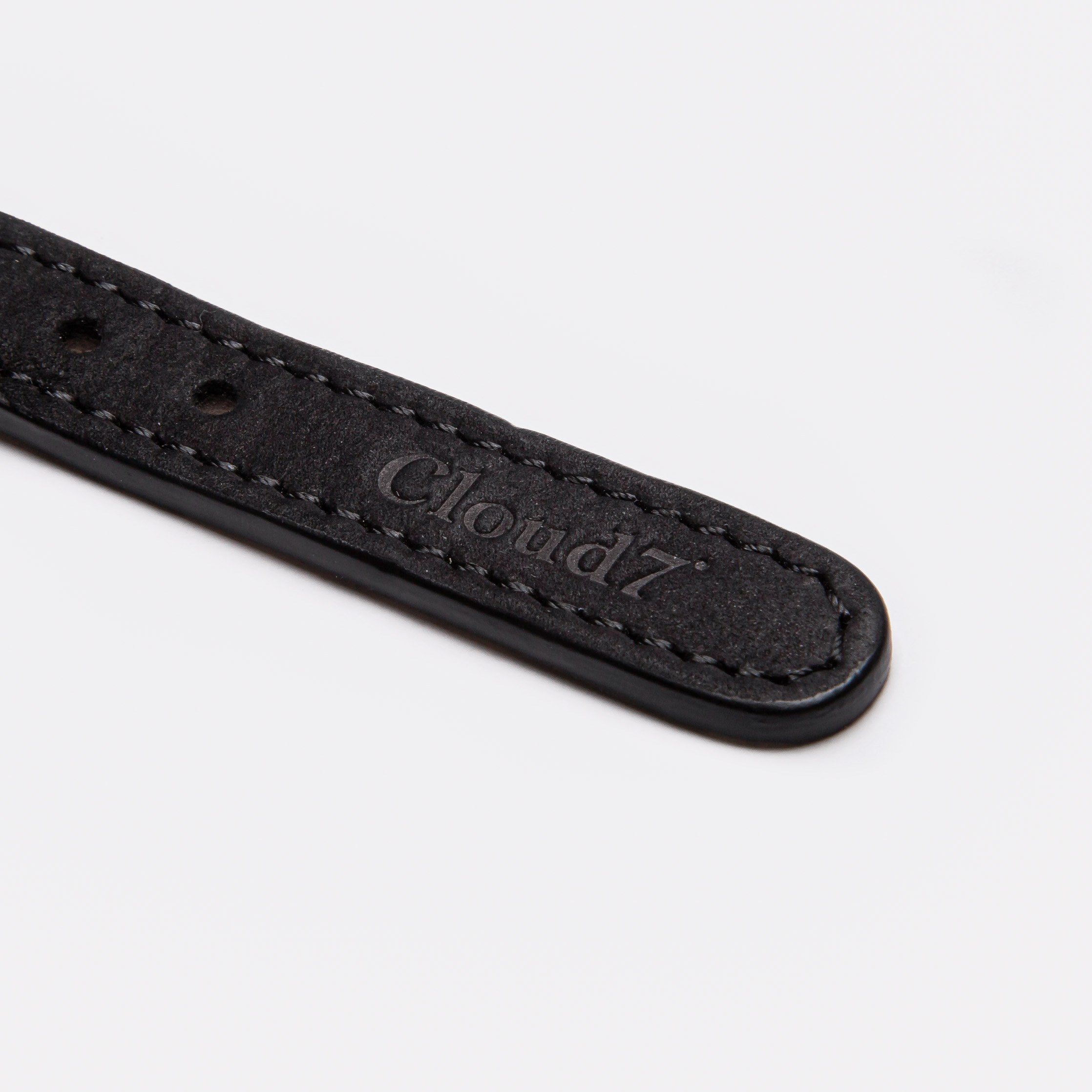 Detail black leather collar for dogs