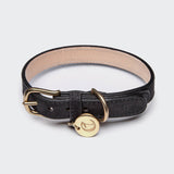 Closed black leather collar for dogs with golden metal elements