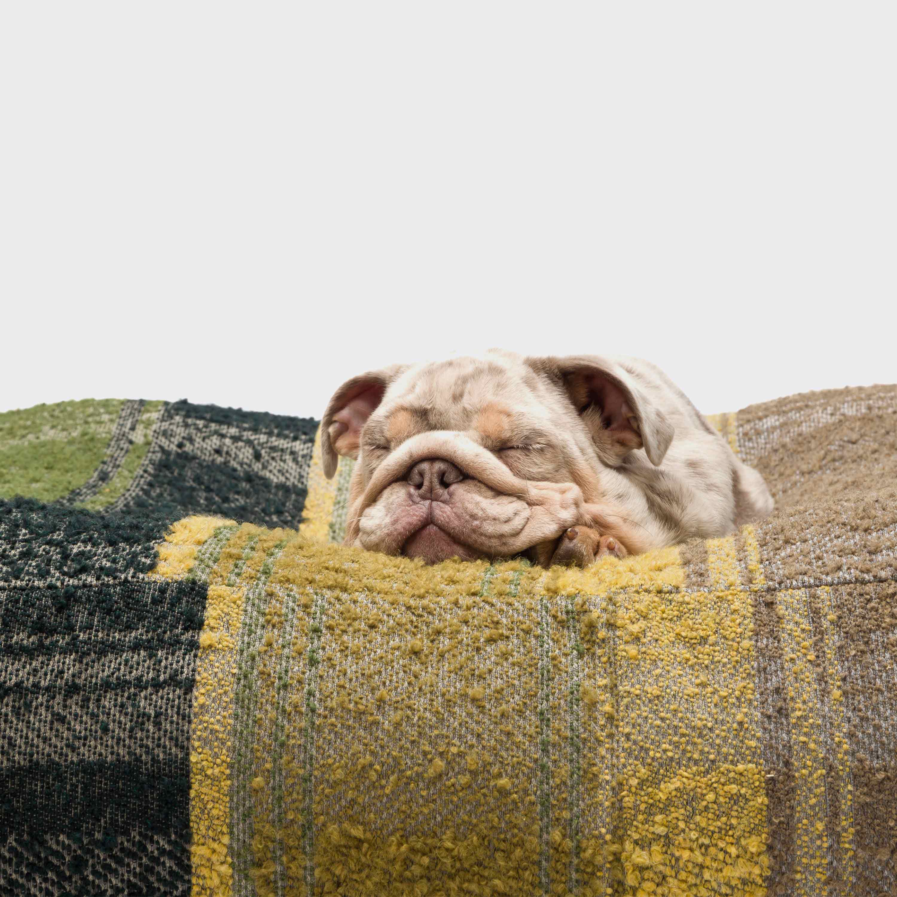 Wechselbezug Hundebett Cube Tartan Green
