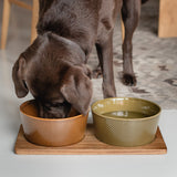 Napfunterlage Dog Station Akazienholz