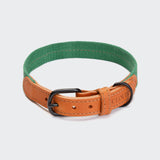 Hundehalsband Madeira Amber