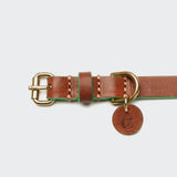 Dog Collar Prince Park Cognac/Green