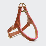 Norwegergeschirr Prince Park Cognac/Pink