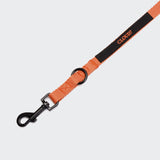Dog Leash Holly Park Orange
