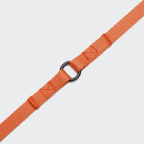 Dog Leash Holly Park Orange
