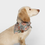 Hundehalstuch Bandana LTTL Blossoms
