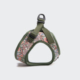 Step-in Harness LTTL Blossoms