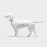 POS Dog Mannequin 