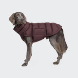 Hundemantel Alaska Dark Aubergine