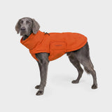 Hundemantel Alaska Seersucker Orange