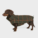 Hundemantel Dackel Brooklyn Flannel Tartan Green